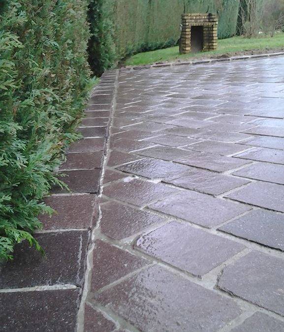 75042_772041066143482_1071699375_N 577X675 | Pasquier TP Aménagement extérieur Sainte-Marie-aux-Mines 18