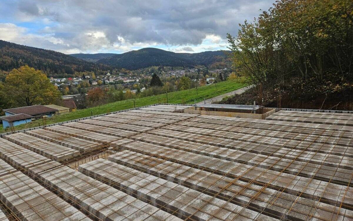 20251024_170901 1200X750 | Pasquier TP Travaux de maçonnerie à Saulcy-sur-Meurthe près de Saint-Dié-des-Vosges Baccarat
