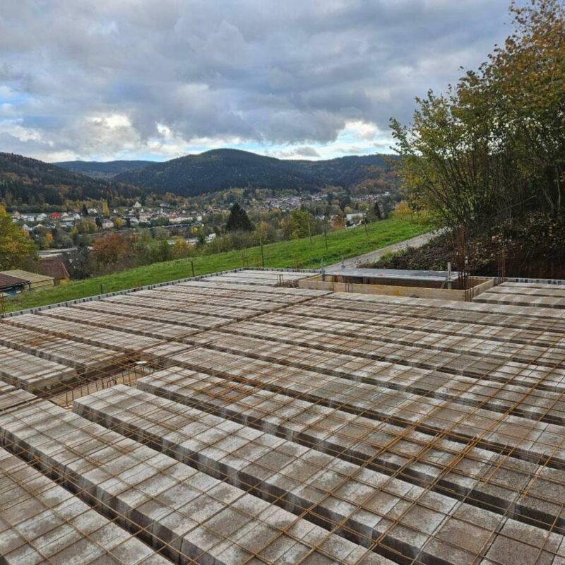20251024_170901 800X800 | Pasquier TP Maçonnerie et assainissement La Bresse 8